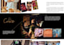 diseño de página web profesional, responsive, optimado en wordpress